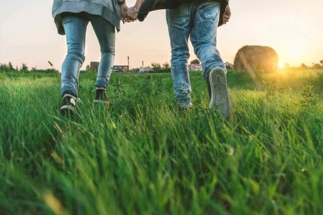 Why Mental Wellness is Just as Important as Physical Fitness